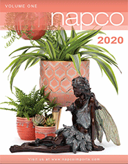 Browse 2020 Catalog